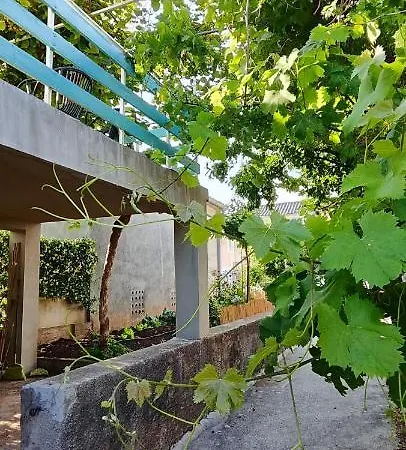 Family House 